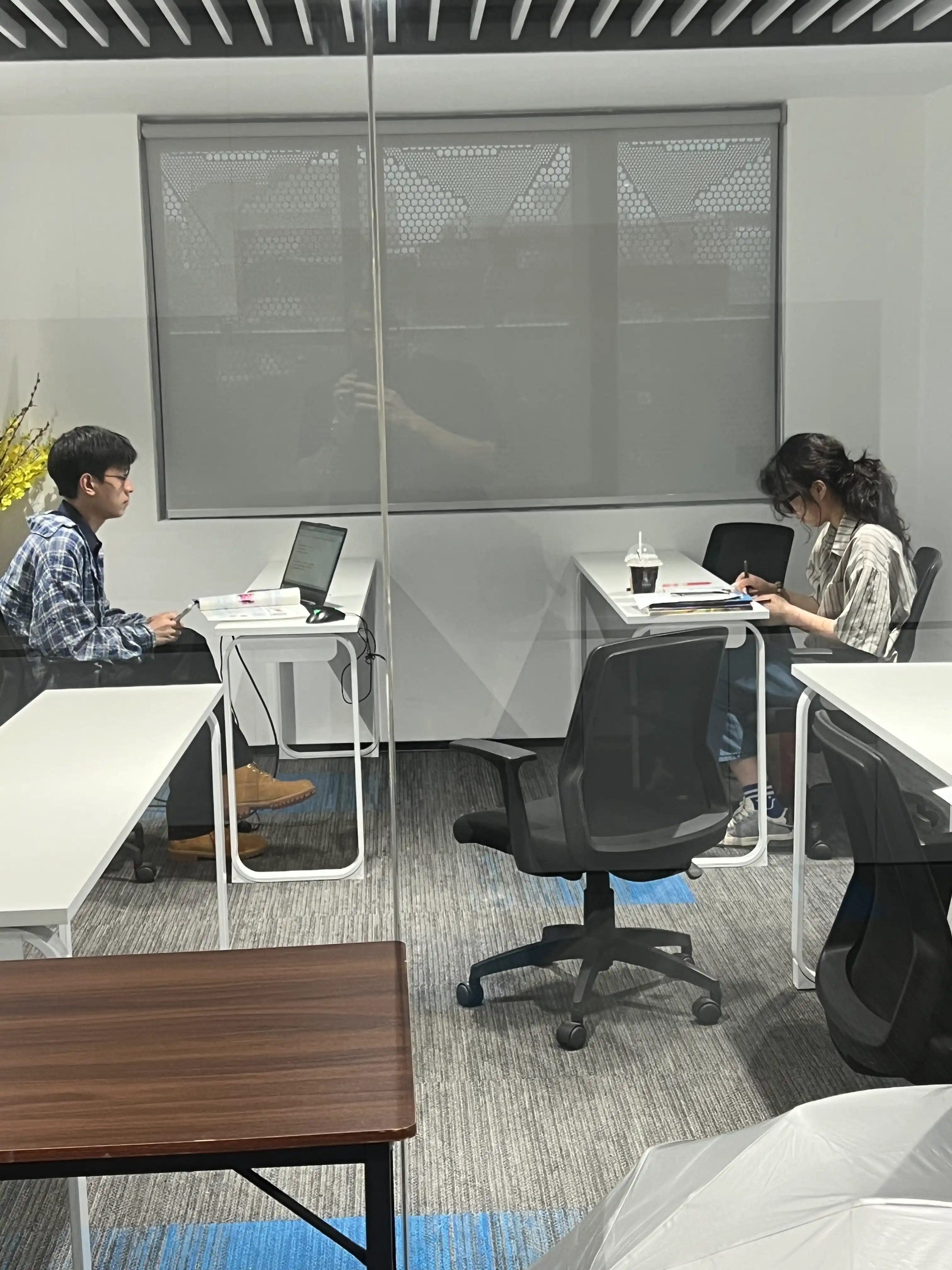 互动展示